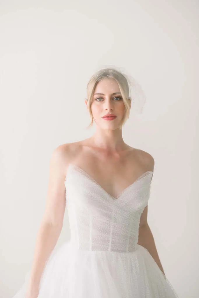 Birdcage veil - Dew drop mini tulle birdcage veil - Ready to ship