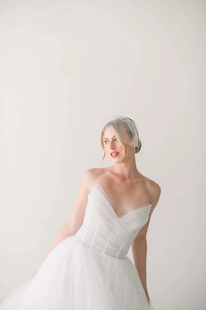 Birdcage veil - Dew drop mini tulle birdcage veil - Ready to ship