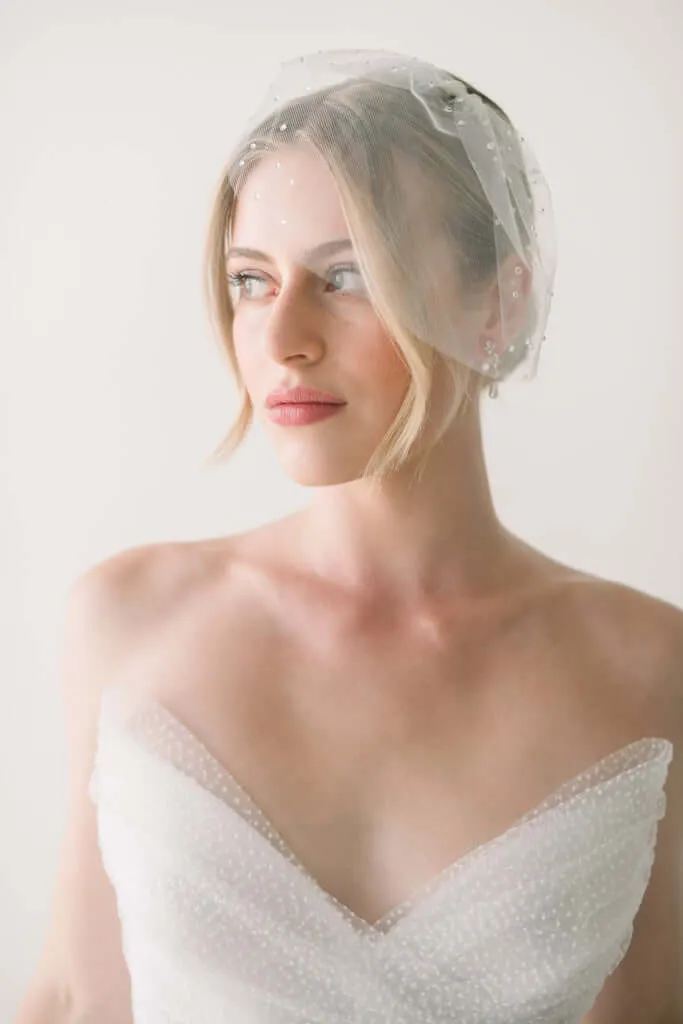 Birdcage veil - Dew drop mini tulle birdcage veil - Ready to ship